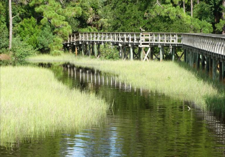 Doris Leeper Spruce Creek Preserve