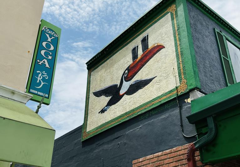 Mural - Toucan at McKays