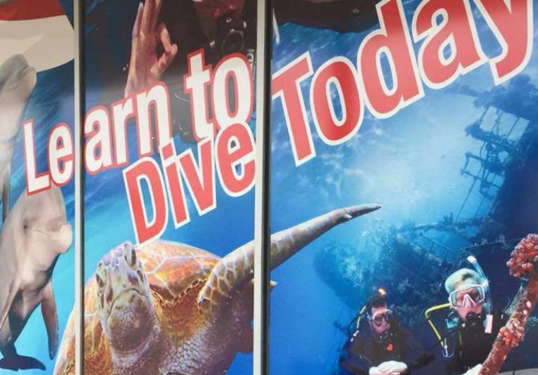 Learn to Dive today!