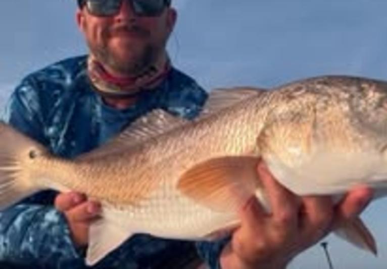 fish close up