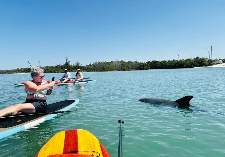 Three Brothers Boards