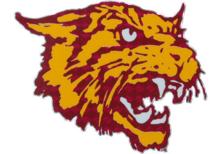 Bethune Cookman University - College Sports