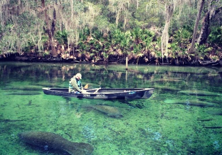 Blue Springs State Park