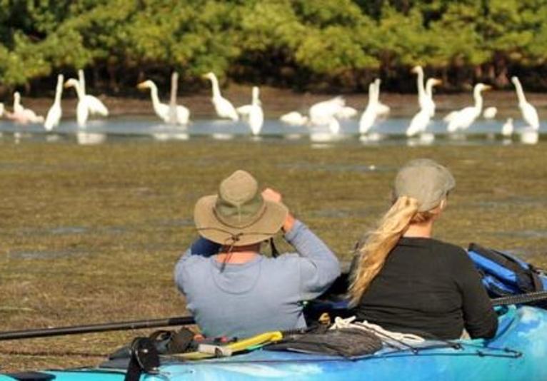 Calypso Kayaking