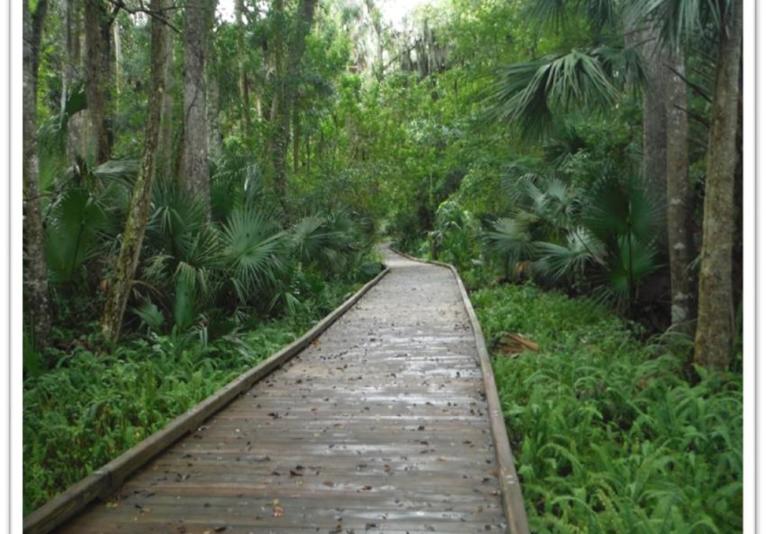 Central Park Ormond Beach Trail