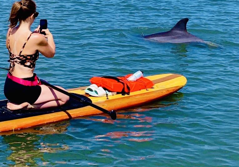 Three Brothers Boards