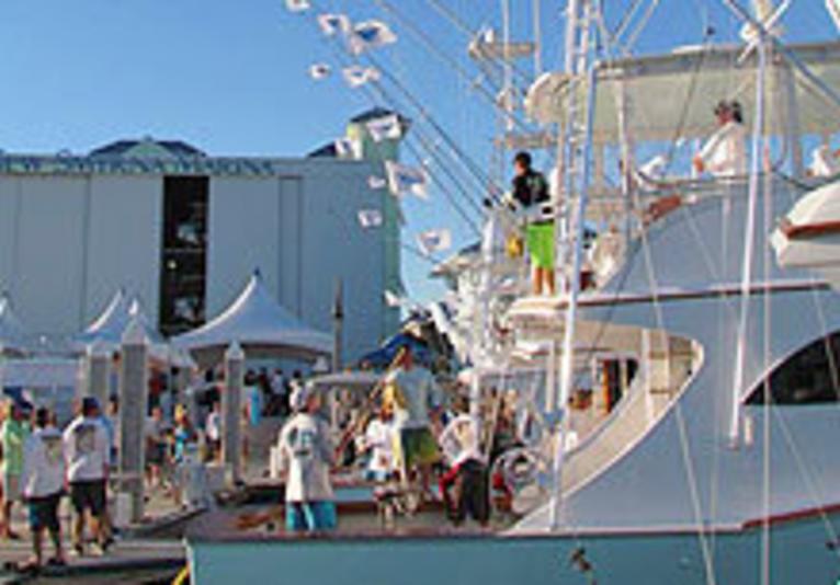 The Fishing Store