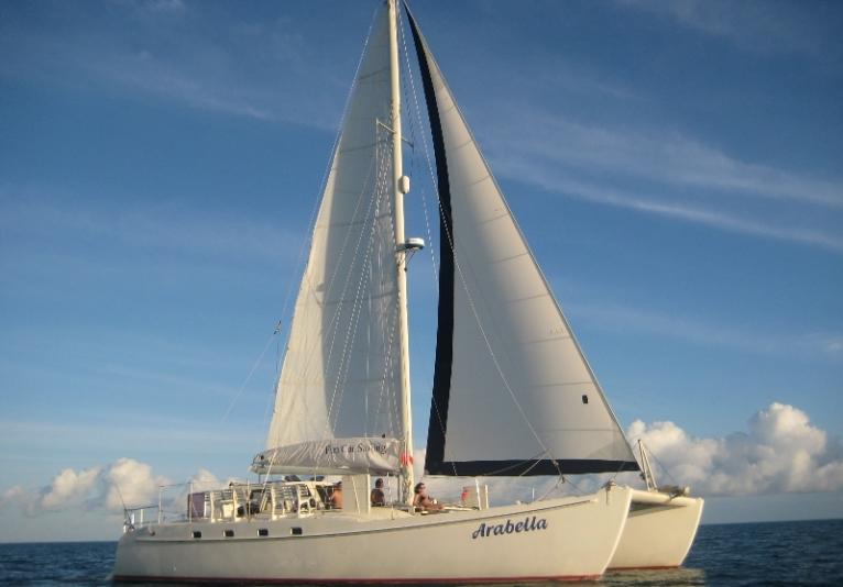 Fun Cat Sailing