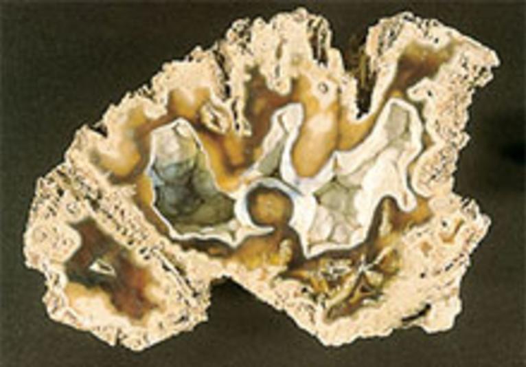 Gillespie Museum of Minerals