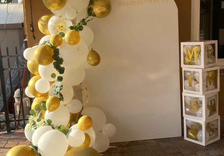 Photo Backdrop