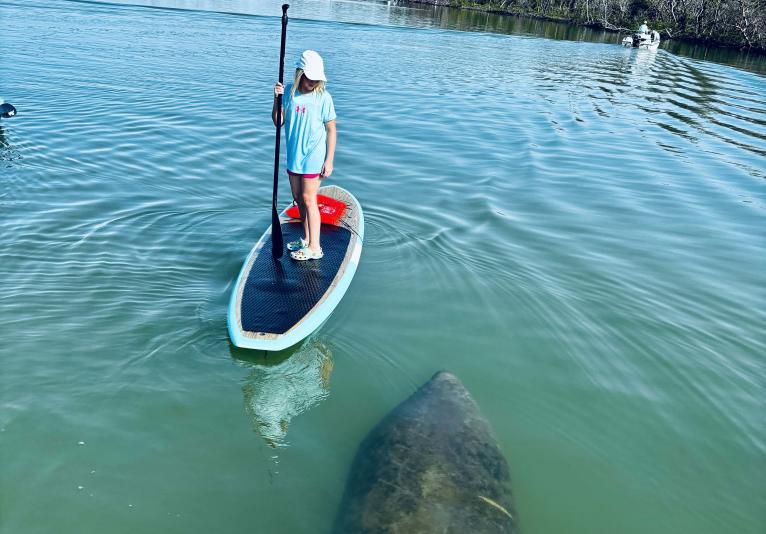 Three Brothers Boards