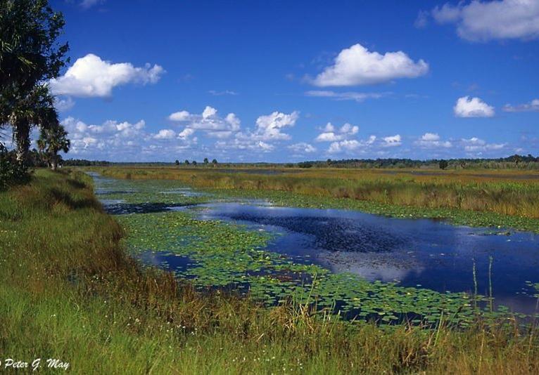 Lake Woodruff National Wildlife Refuge