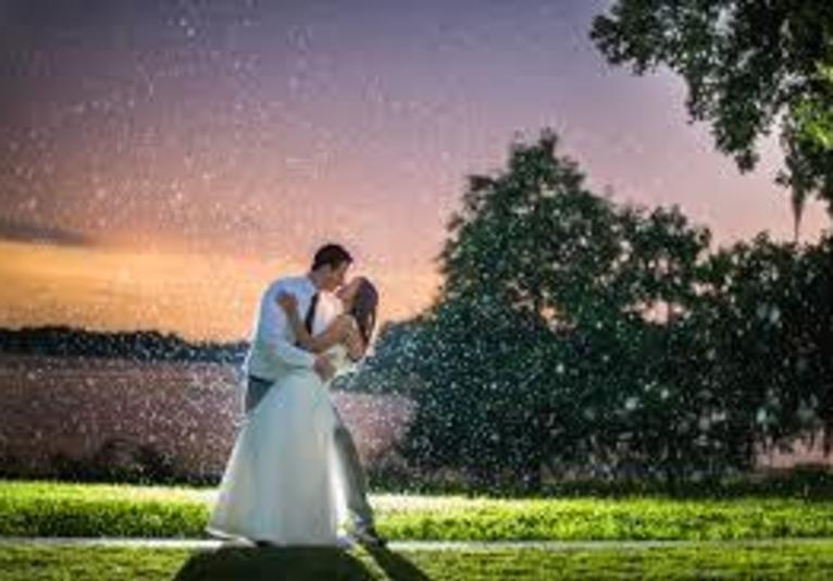 Mark Dickinson Photography