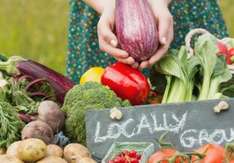 Ormond Beach Farmers Market