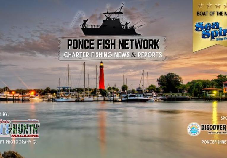 Ponce Inlet Fishing Charter Network