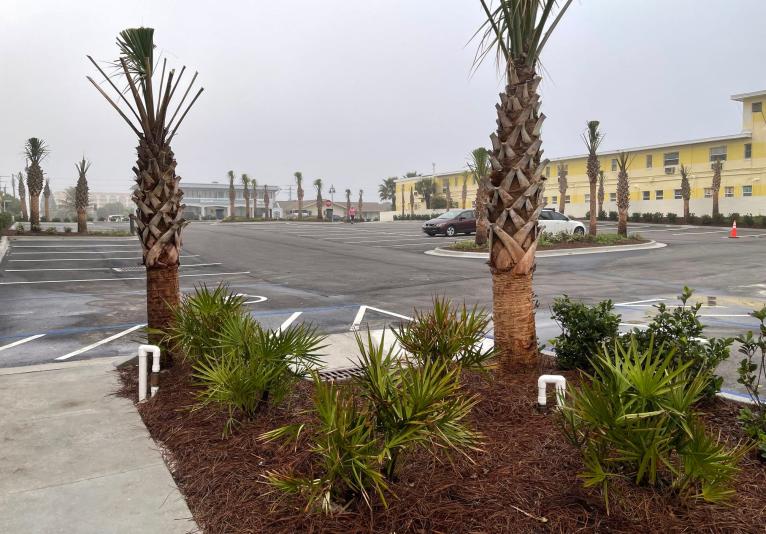 Dahlia Avenue Park