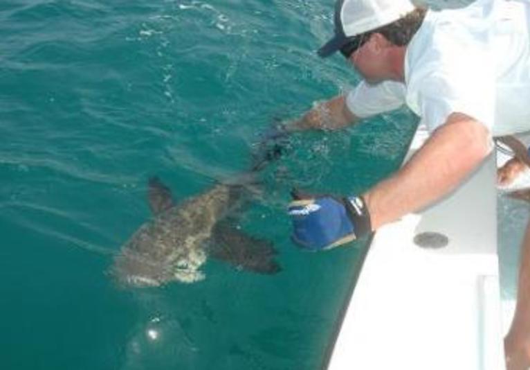Ponce Inlet Backwater Fishing