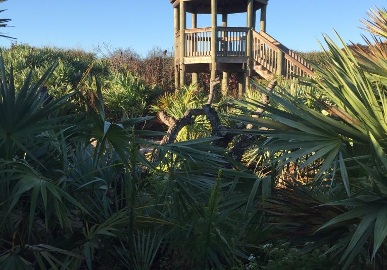 Ponce Preserve Observation Tower