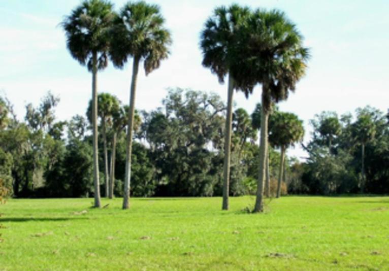 River City Nature Park