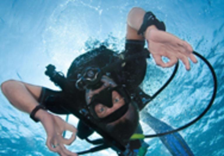 Scuba Lessons Inc.