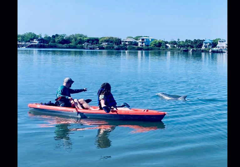 Three Brothers Boards