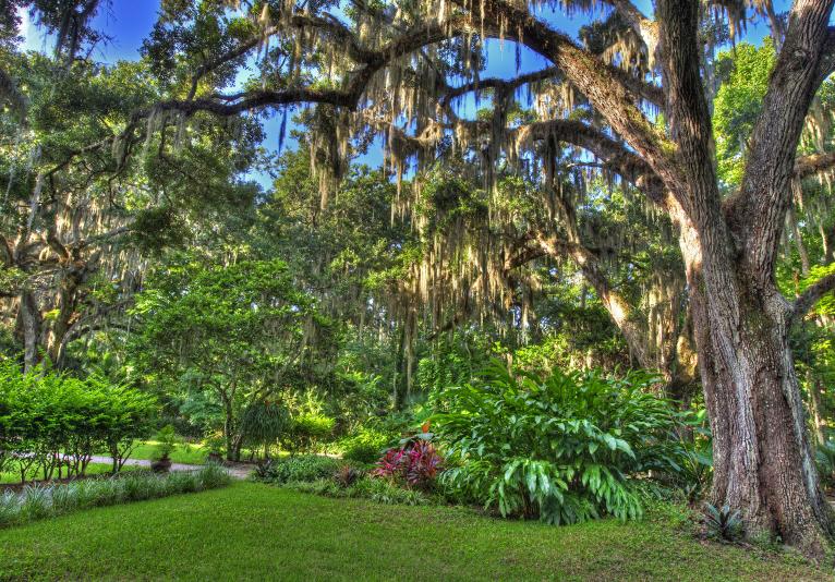 Sugar Mill Botanical Gardens