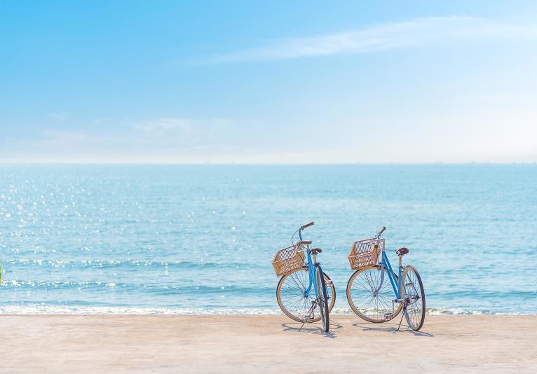 Distinctive Beach Rentals-Bikes