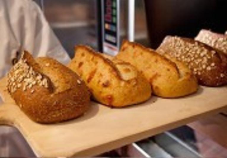 panera bread