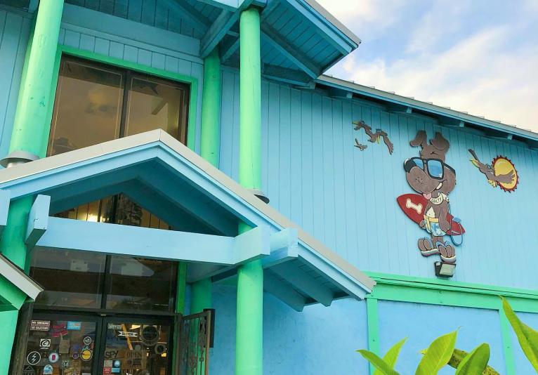 Salty Dog Surf Shop