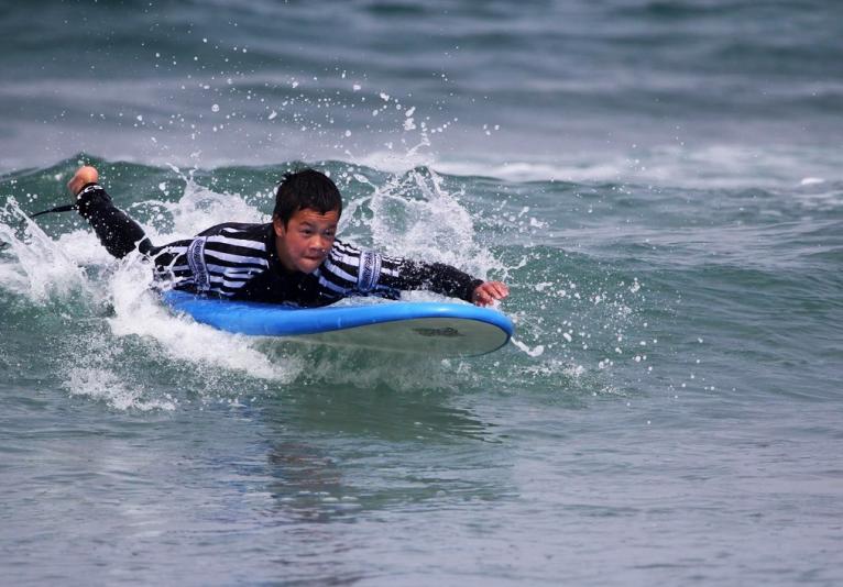 Surfari