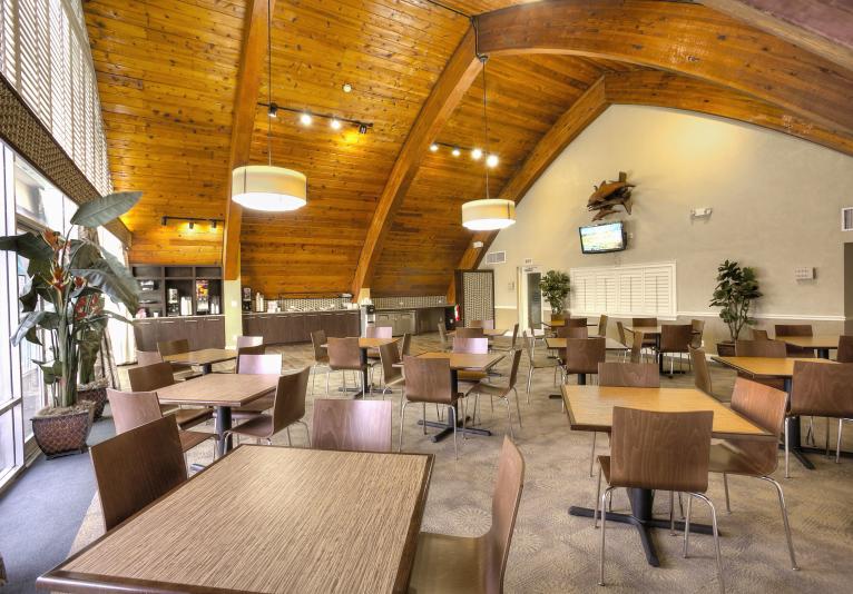 Dolphin Meeting Room