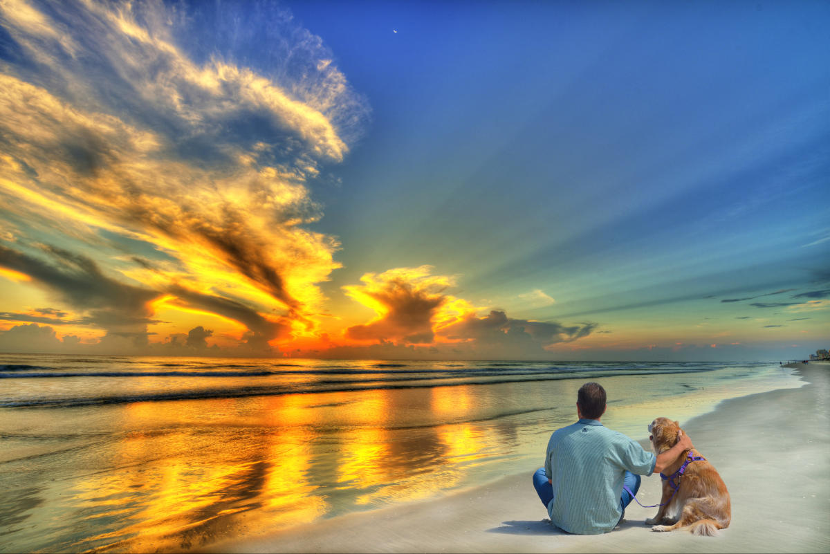 Ormond Beach Dog Beach | Ormond Beach, FL 32176