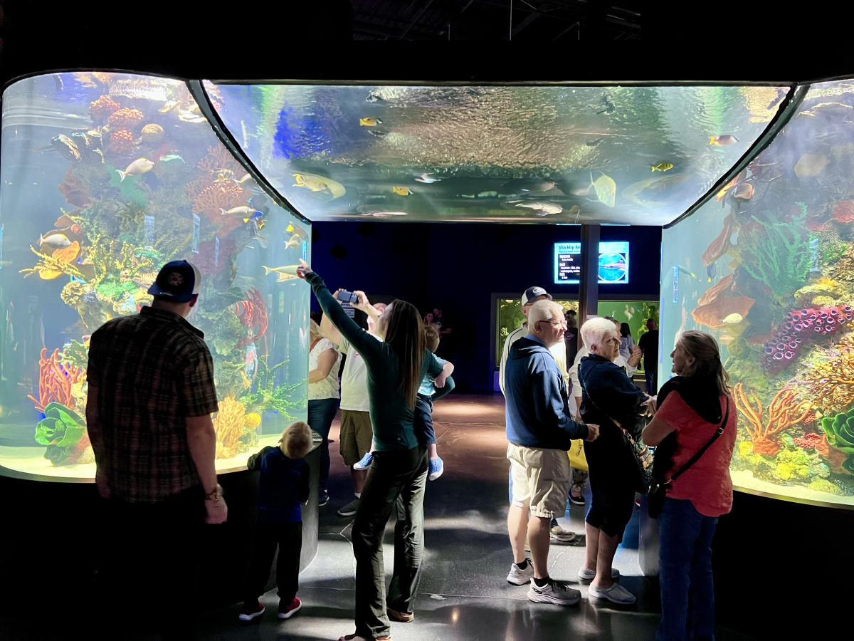 Daytona Aquarium & Rainforest Adventure Daytona Beach, FL 32114
