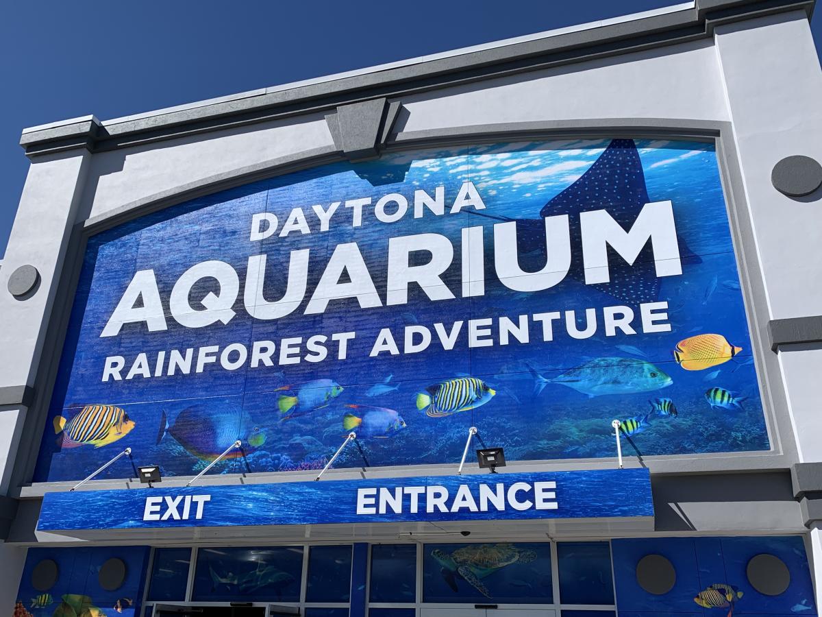 daytona july 4th race 2025