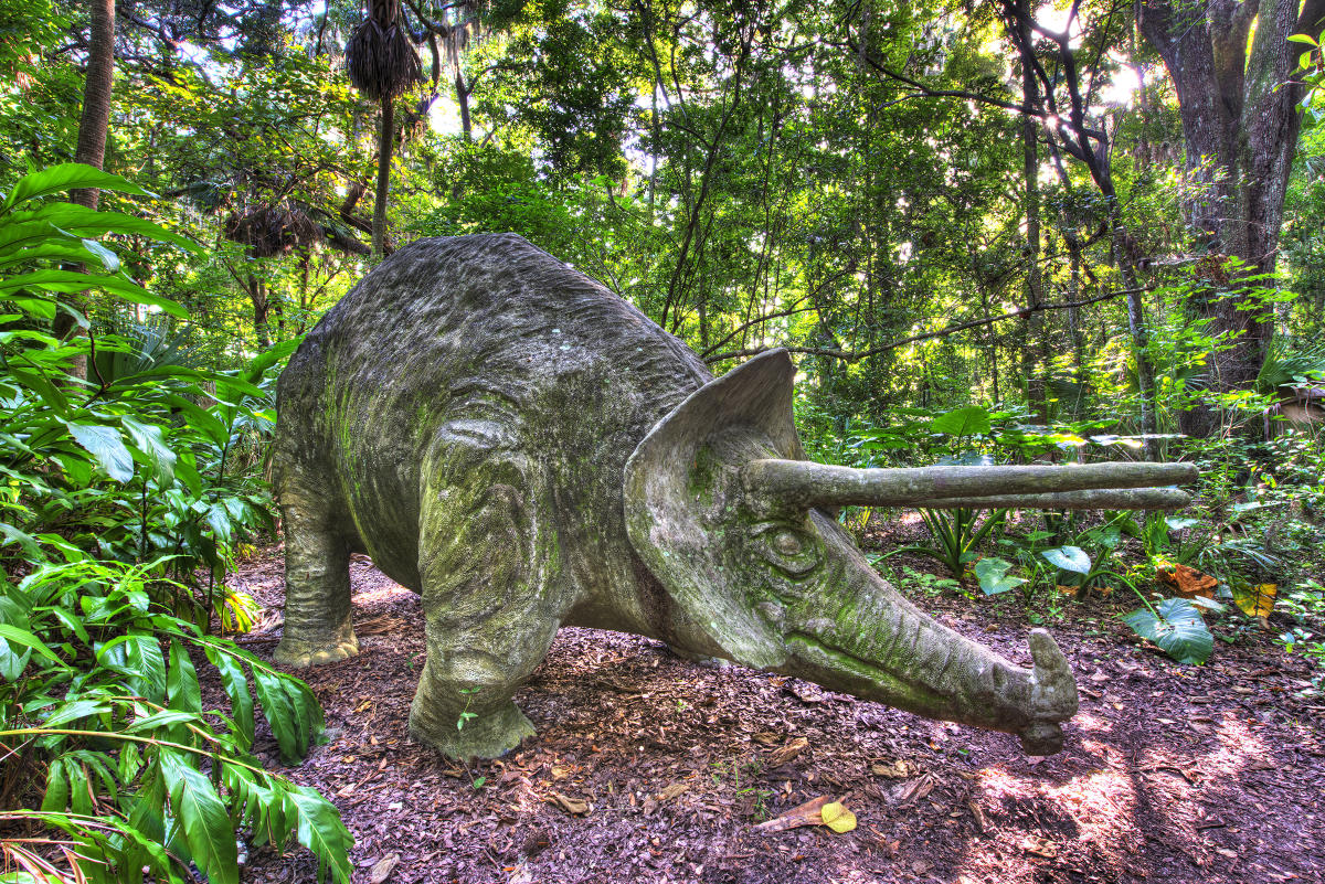 Sugar Mill Gardens Port Orange Fl: Explore Nature's Beauty