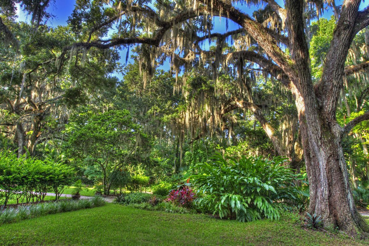 Sugar Mill Gardens Port Orange Fl: Explore Nature's Beauty