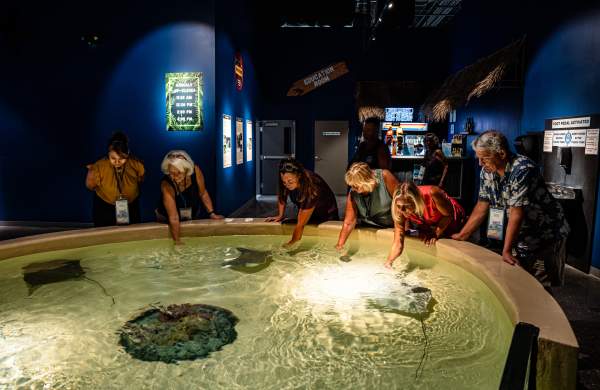 Tour Operators at the sting ray touch pool at Daytona Aquarium & Rainforest Adventure in Daytona Beach, Florida.