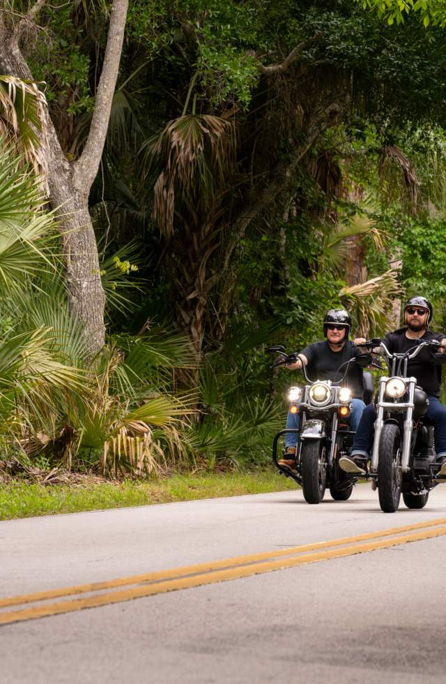 Motorcycle riders riding The Loop, a 34-mile tree lined scenic route, during Biketoberfest in Daytona Beach, Florida.