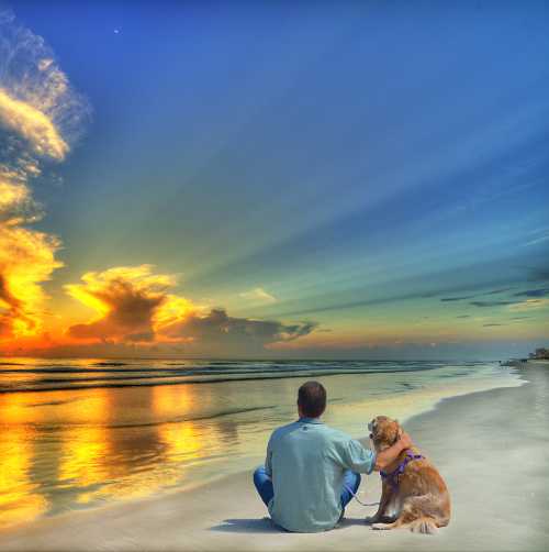 A dog and his best friend sitting on the beach at sunrise.