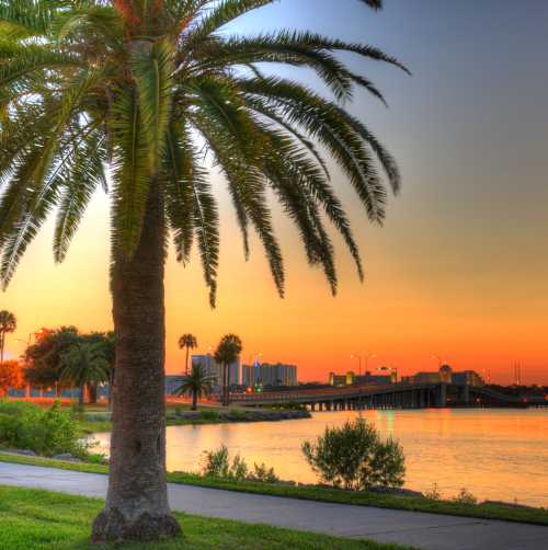 Tony Giese - Daytona Beach