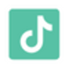TikTok Logo