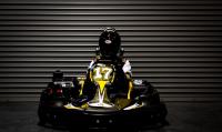 SIK Speedway Indoor Karting Electric Kart