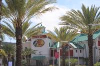 Beautiful palm trees dot the landscape at Bass Pro Shots, located at ONE DAYTONA