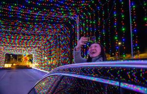 Magic of Lights
