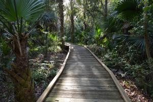 Tuscawilla Preserve at Museum of Arts and Sciences