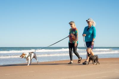 Daytona Beach Dog Beach