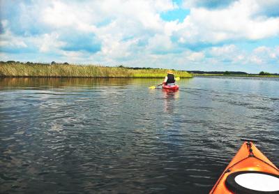 Tomoka State Park Near Daytona Beach offers activity-filled  escapes