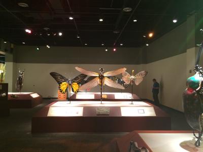 Bugs Outside The Box