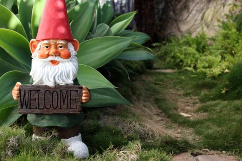 Gnomes