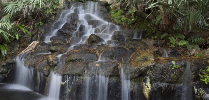 Waterfall at Ormond Memorial Art Museum and Gardens